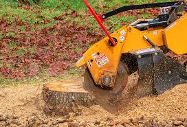 Best Lawn Irrigation Installation and Maintenance  in Pawtucket, RI